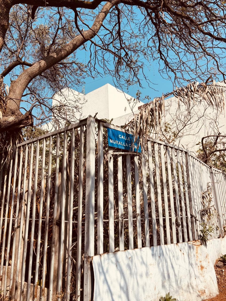 Terreno en Venta en Col. Los Cedros, Coyoacán, CDMX - foto 1