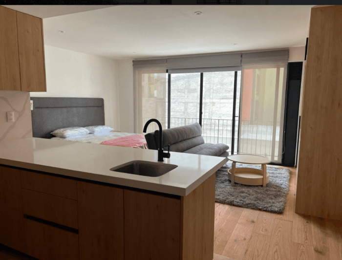 Departamento nuevo en renta en San Rafael CDMX - foto 1