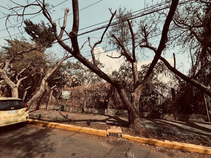 Terreno en Venta en Col. Los Cedros, Coyoacán, CDMX - frente de terreno