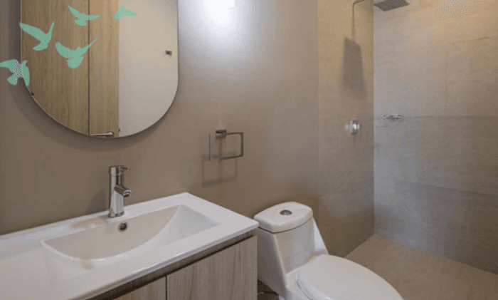 Departamento en venta en Roma Norte Ciudad de México - Baño
