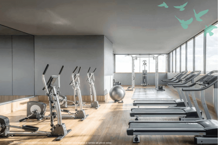 Departamento en Venta con balcon Roma Cuauhtemoc CDMX - Gimnasio