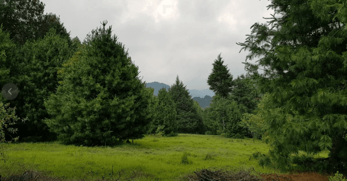 Terreno Vacacional en Venta en Tepotzotlán, Estado de México - foto 9