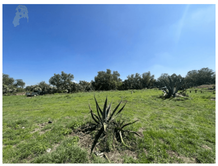 Terreno en venta o renta Tepojaco Tizayuca - Area