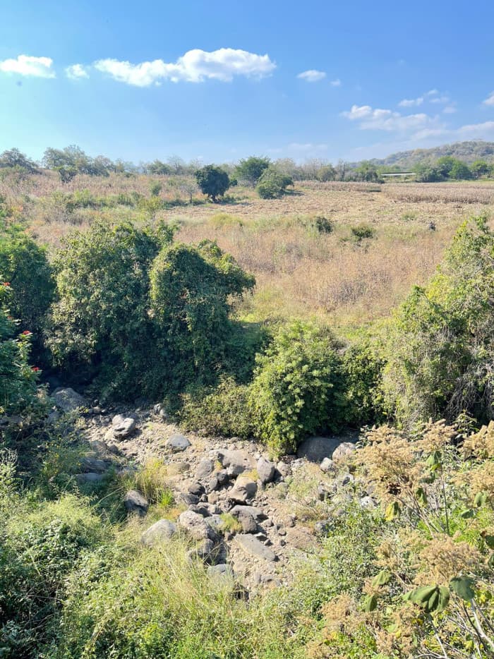Terreno rustico en venta Zempoala Hidalgo - foto 4