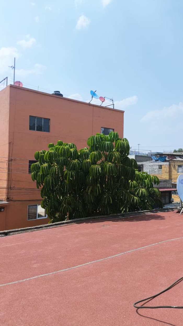 Casa en venta en Tulpetlac Ecatepec Estado de México - foto 22