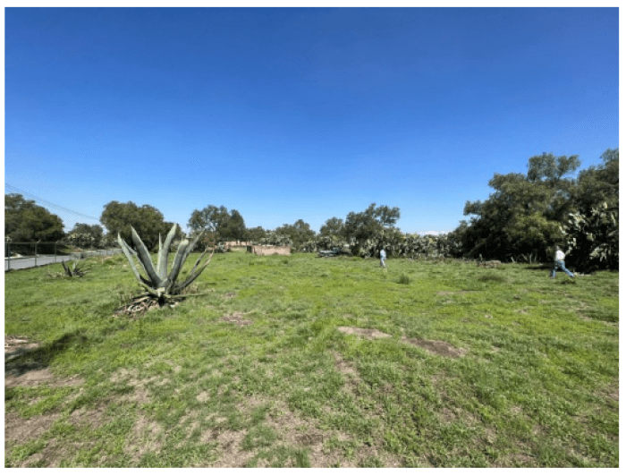Terreno en venta o renta Tepojaco Tizayuca - foto 6