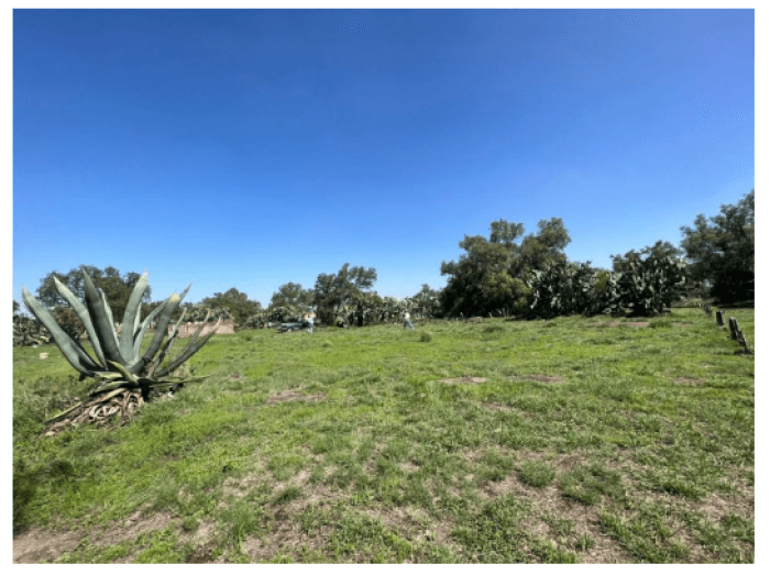Terreno en venta o renta Tepojaco Tizayuca - foto 7