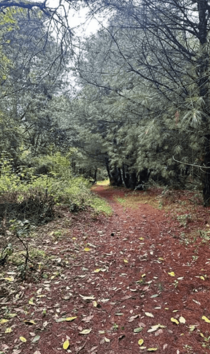 Terreno Vacacional en Venta en Tepotzotlán, Estado de México - foto 5