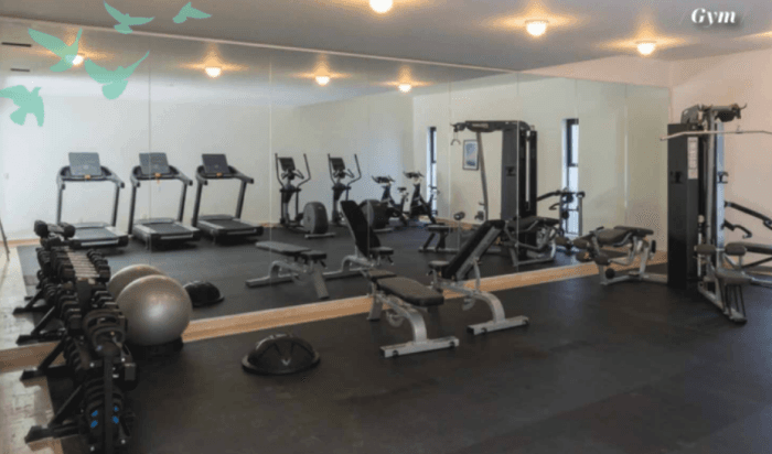 Departamento en venta en Roma Norte Ciudad de México - Gimnasio