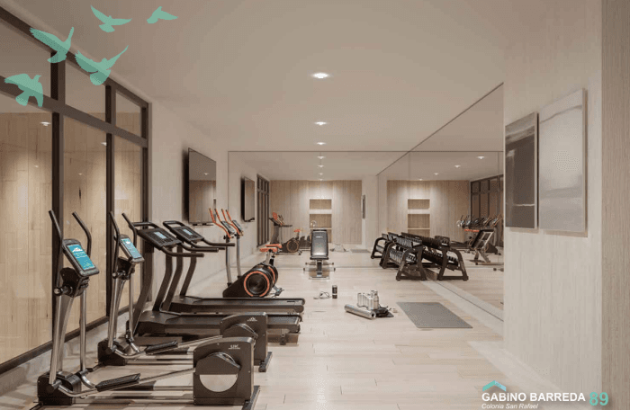 Departamento con balcon en venta San Rafael CDMX - Gym