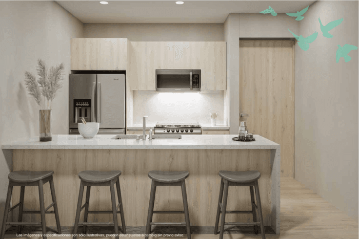 Departamento en Venta con balcon Roma Cuauhtemoc CDMX - Cocina