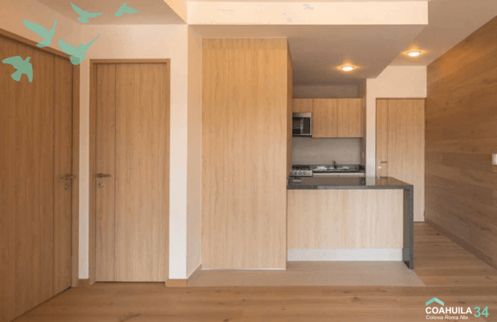 Venta de departamento en la Roma Norte CDMX - departamento