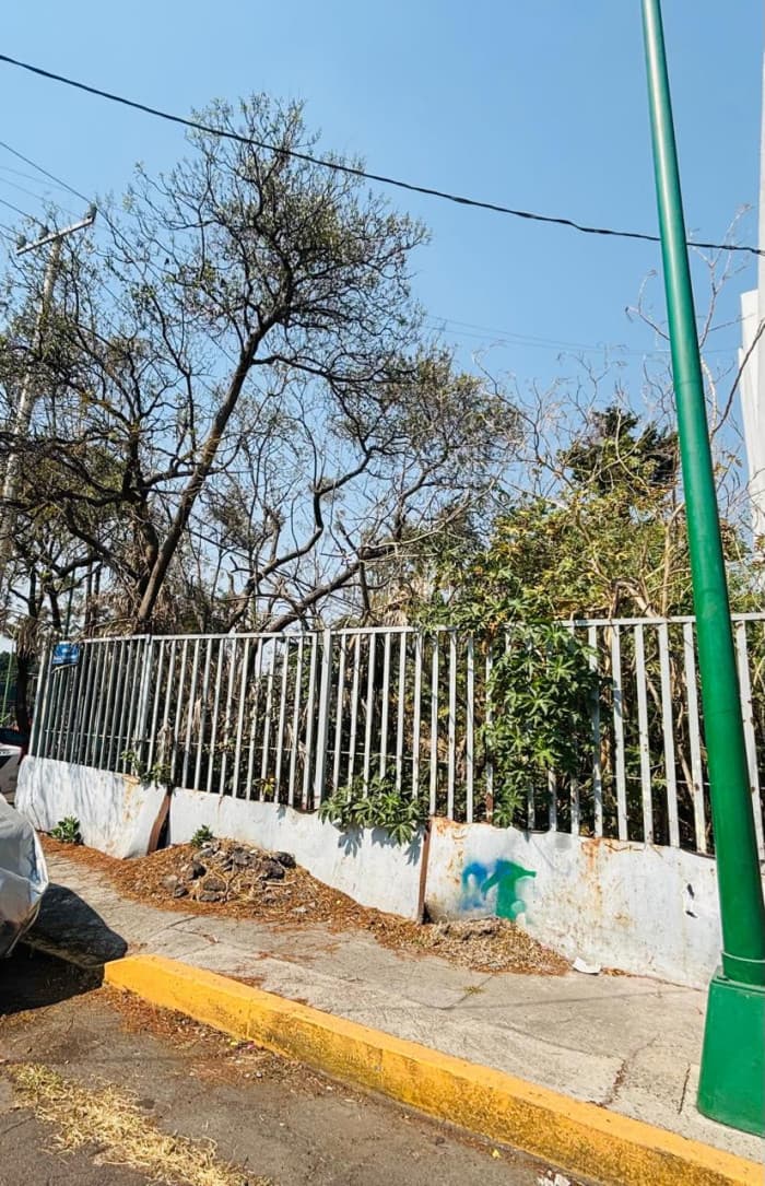Terreno en Venta en Col. Los Cedros, Coyoacán, CDMX - foto 3