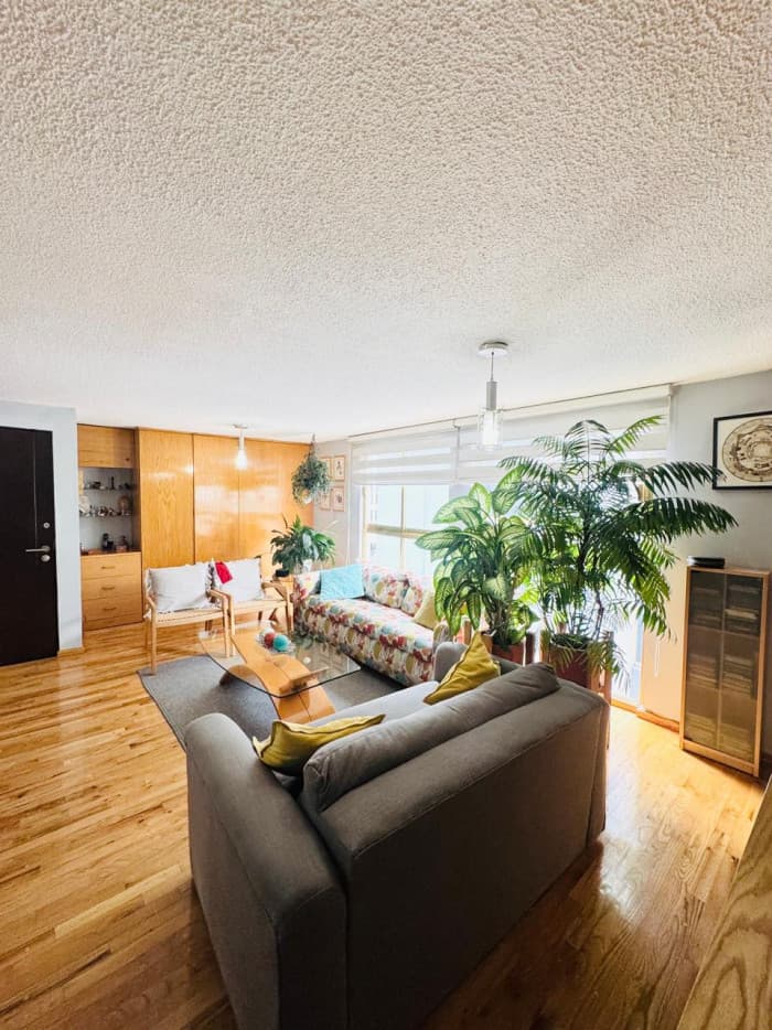 Departamento en venta en la colonia San Rafael - Sala