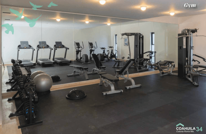 Venta de departamento en la Roma Norte CDMX - Gym