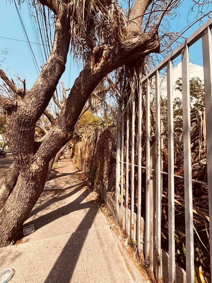 Terreno en Venta en Col. Los Cedros, Coyoacán, CDMX - foto 4