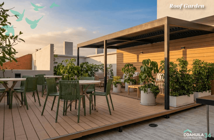 Venta de departamento en la Roma Norte CDMX - Roof Garden Común