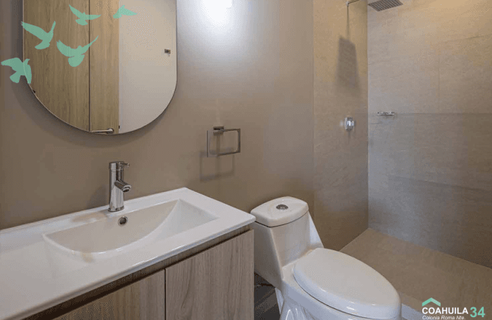 Venta de departamento en la Roma Norte CDMX - Baño