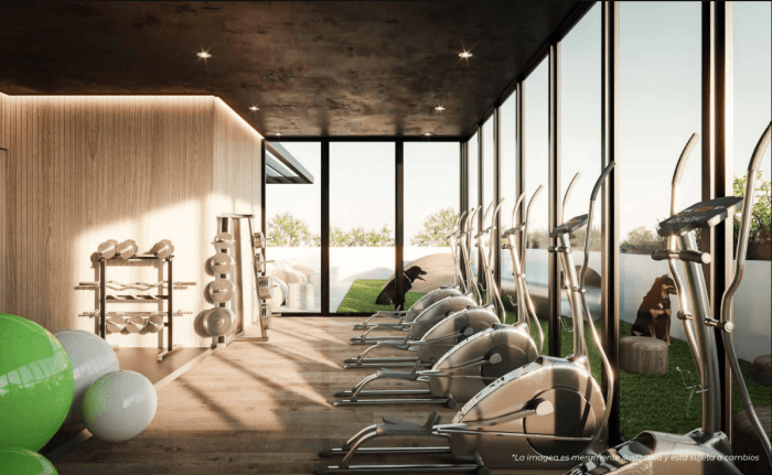 Preventa departamentos en Santa María la Ribera - Gimnasio