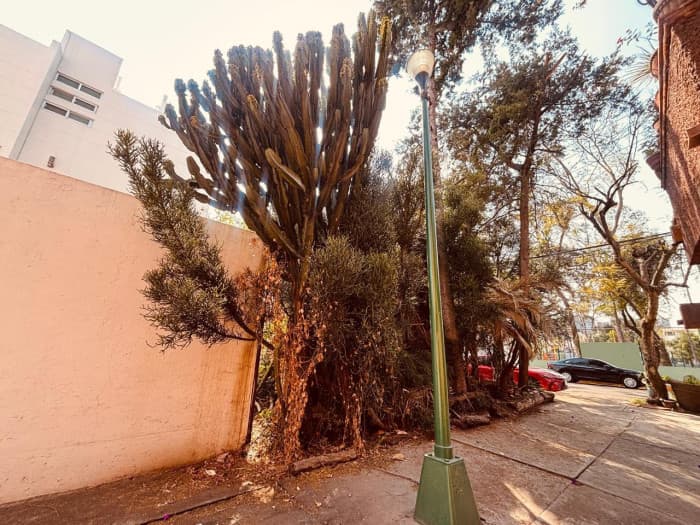 Terreno en Venta en Col. Los Cedros, Coyoacán, CDMX - andador