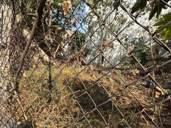 Terreno en Venta en Col. Los Cedros, Coyoacán, CDMX - terreno superficie