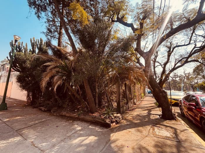 Terreno en Venta en Col. Los Cedros, Coyoacán, CDMX - tercer frente desde andador