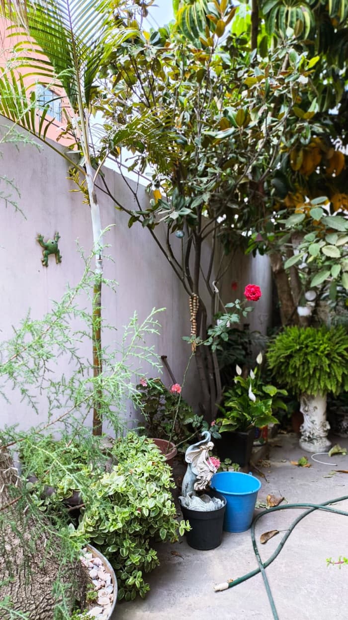 Casa en venta en Tulpetlac Ecatepec Estado de México - Patio frente