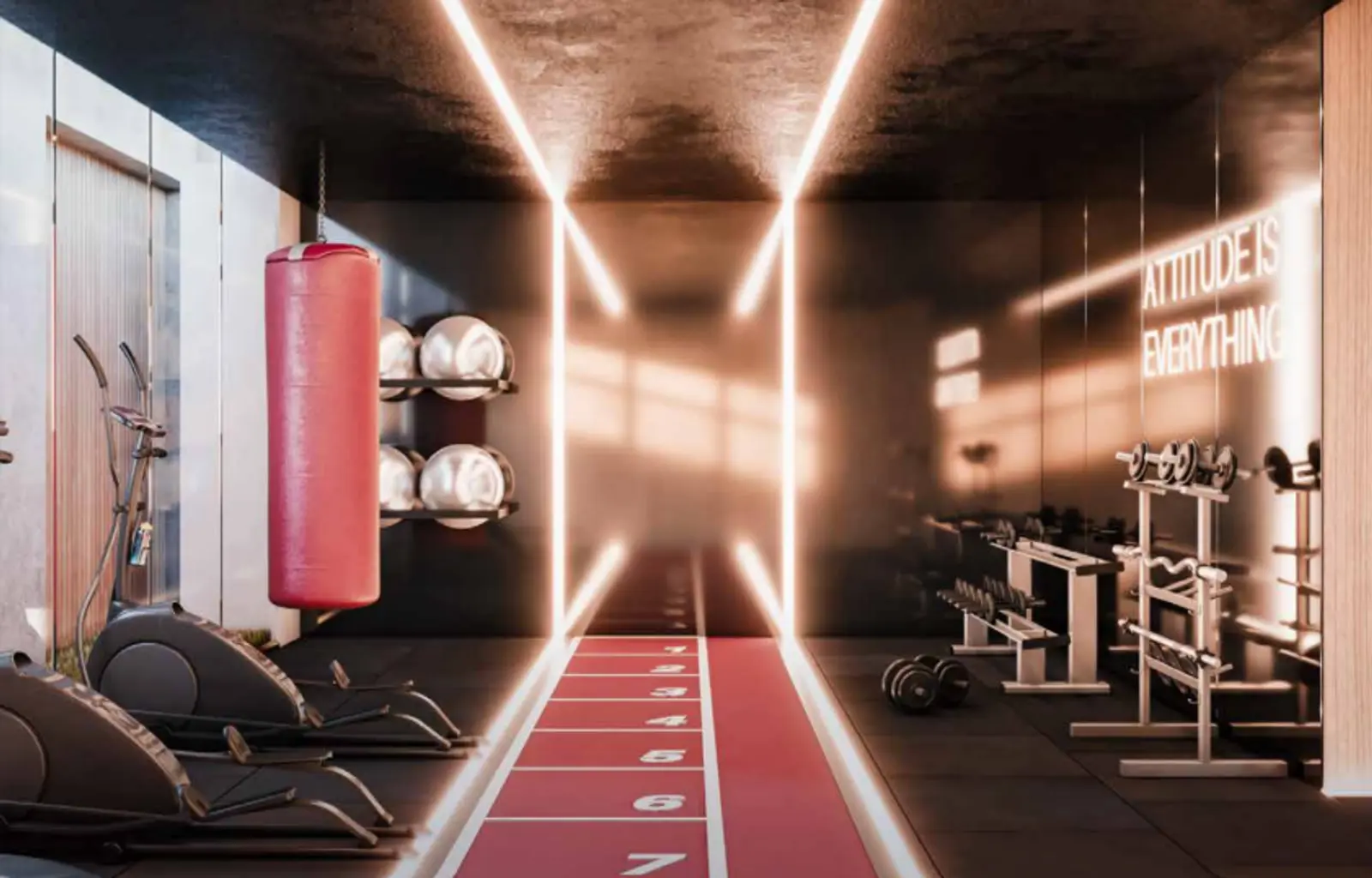 Via Insurgentes - GDC Desarrollos - Gimnasio