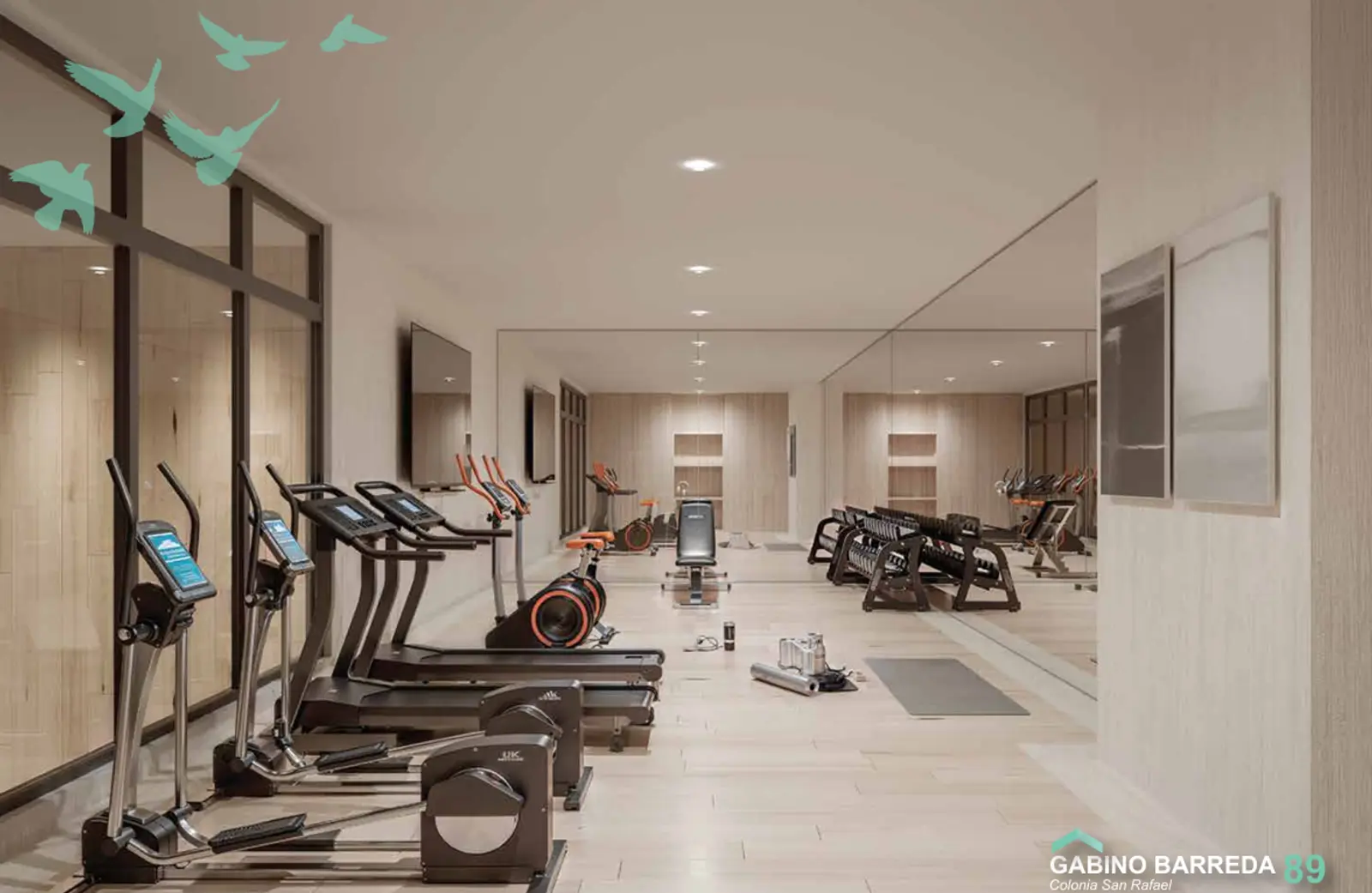 Gabino Barreda 89 San Rafael CDMX - Gym