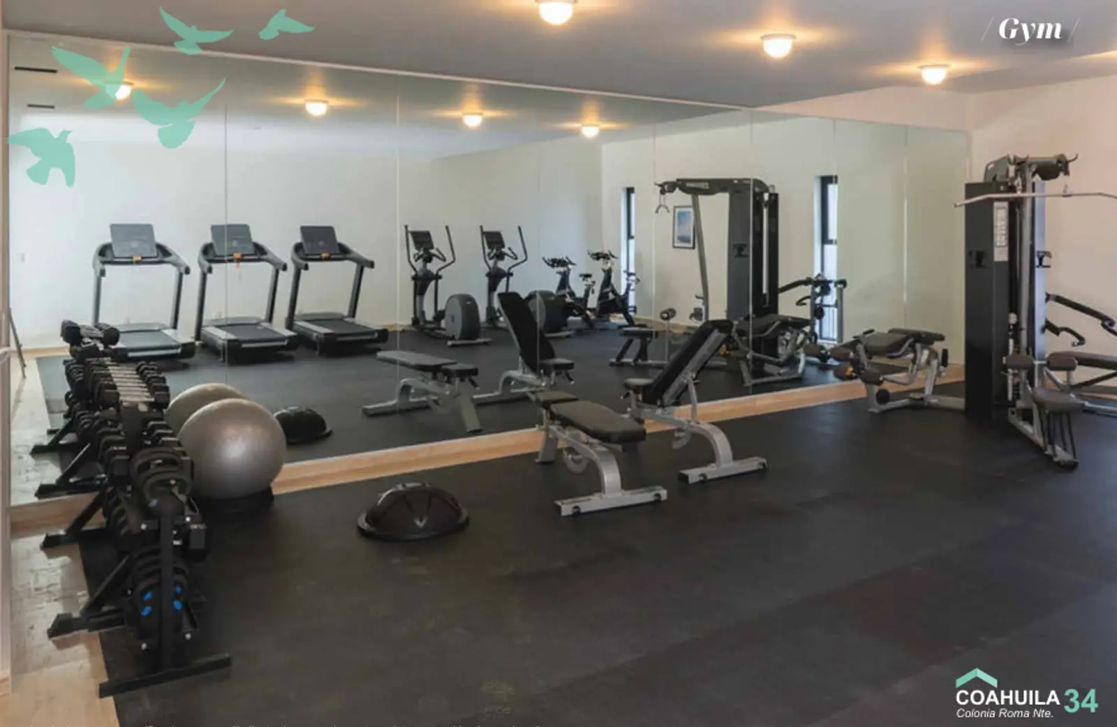 Coahuila 34 Roma Norte - Gym