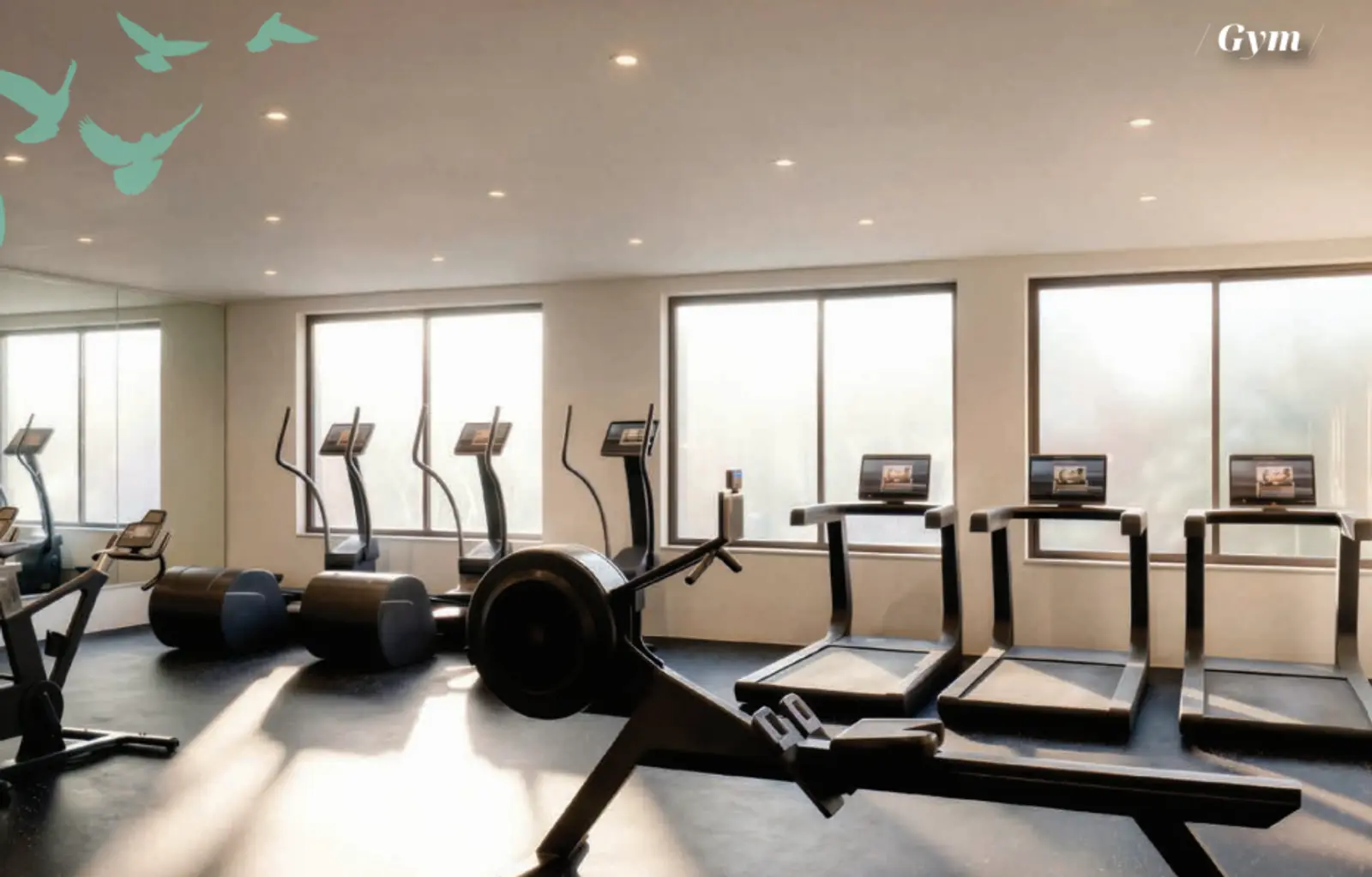 Serapio Rendón 15, San Rafael, Cuauhtemoc, CDMX - Gimnasio